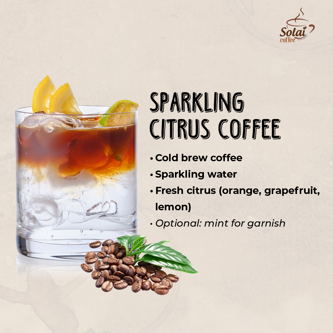 A glass of Sparkling Citrus Coffee, featuring cold brew coffee infused with sparkling water and garnished with citrus slices, a refreshing summer beverage.